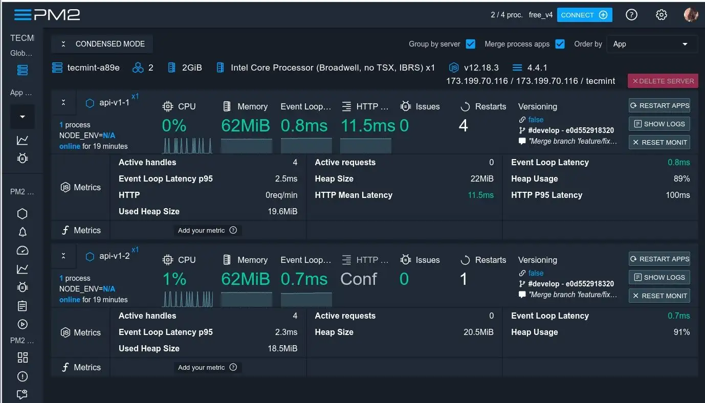 PM2 Node.js Monitoring Tool