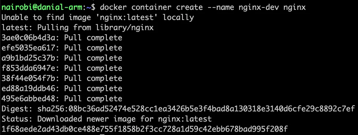 Docker Create Container