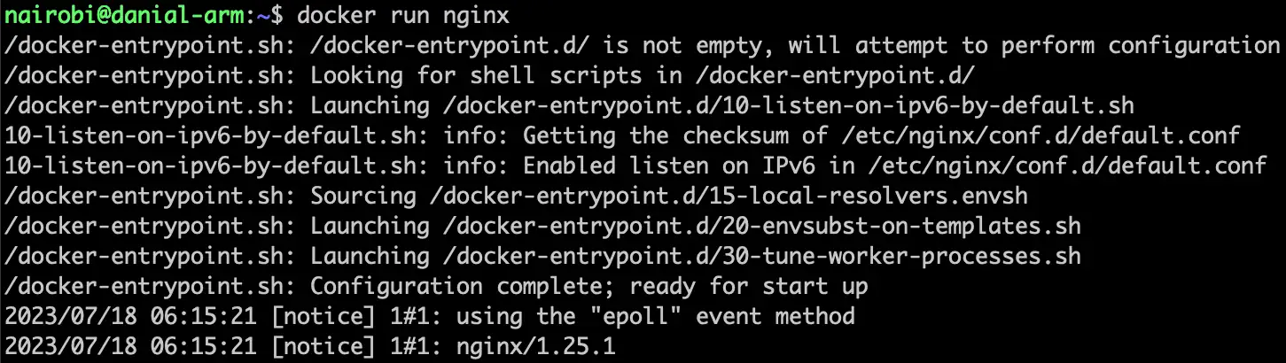 Docker Run Image