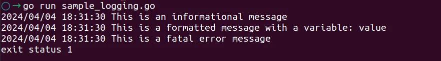 Golang Log Levels